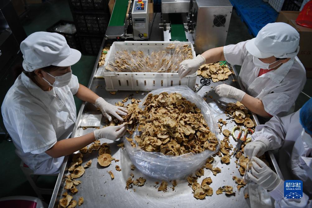 通宝评级官网查询